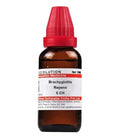 Dr. Willmar Schwabe India Brachyglottis Repens Dilution | Grocsy