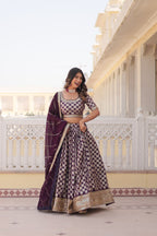 Lorenvalley Purple Pure Viscose Jacquard with Embroidered Sequins work Lehenga Choli | Grocsy