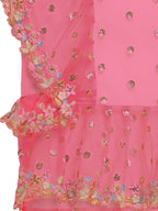 Lorenvalley Fashion Pink Butterfly Net Ruffle Saree with Fancy Sequence work & Blouse | Grocsy