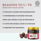 Buddha Natural Burgundy Hair Color Powder | Grocsy