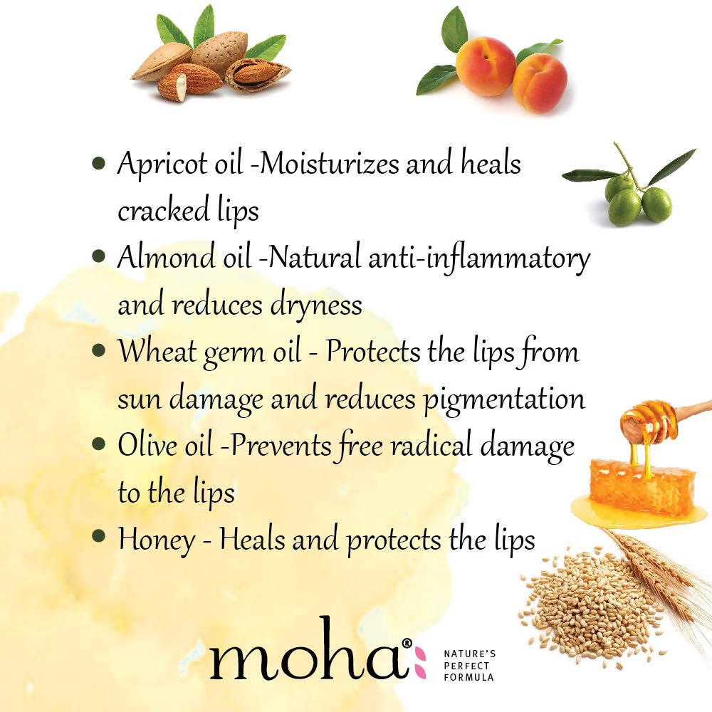 Moha Herbal Lip Balm | Grocsy