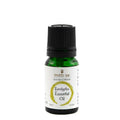 Mitti Se Eucalyptus Essential Oil | Grocsy