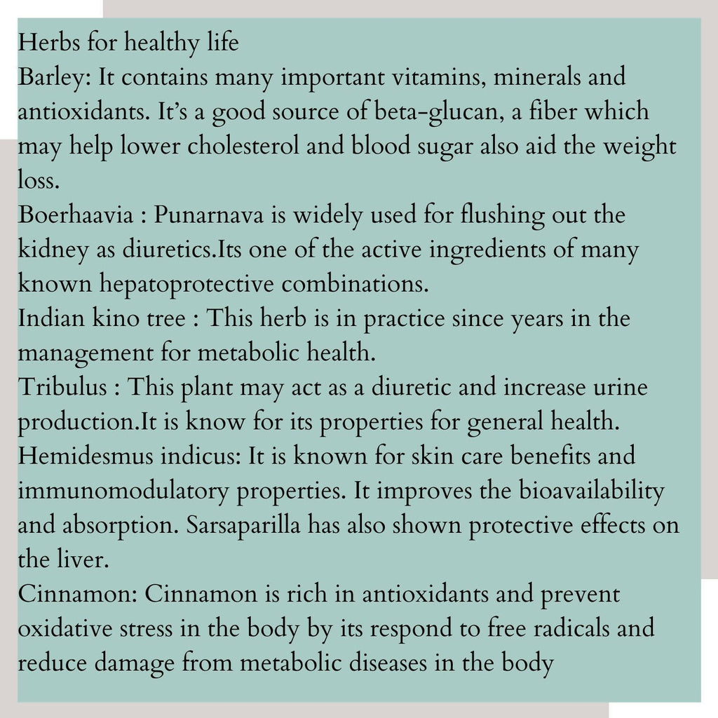 Satvi Wellness Detoxi - Herbal Detox Mix | Grocsy