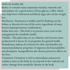 Satvi Wellness Detoxi - Herbal Detox Mix | Grocsy