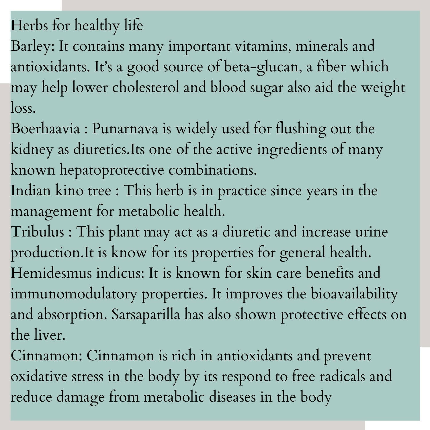 Satvi Wellness Detoxi - Herbal Detox Mix | Grocsy