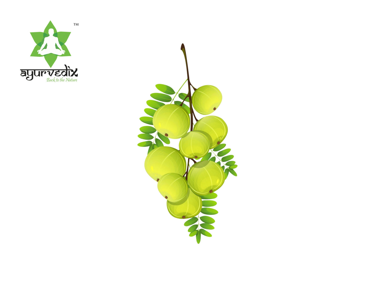 Ayurvedix Organic Amla Powder
