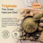 Herby Angel Triphala Shampoo & Conditioner for 2 Years+ Kids | Grocsy