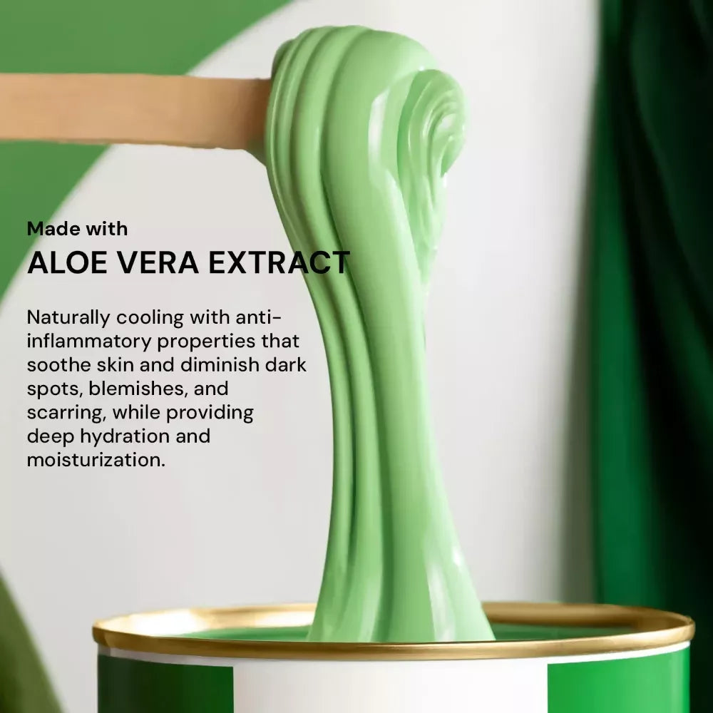 Raaga Professional Liposoluble Wax Aloe Vera | Grocsy
