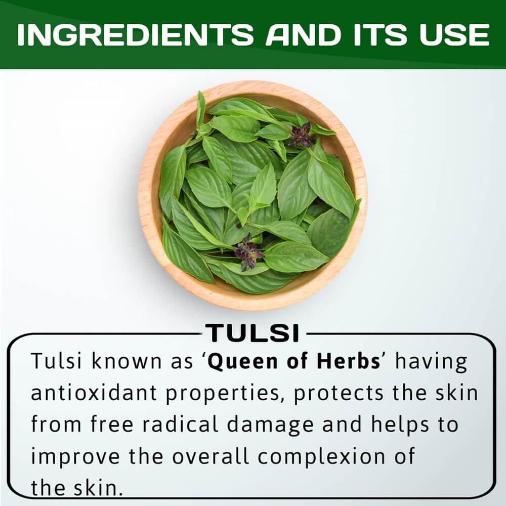 Jain Tulsi Ocimum Sanctum/Holy Basil Pure Powder - 400 g | Grocsy