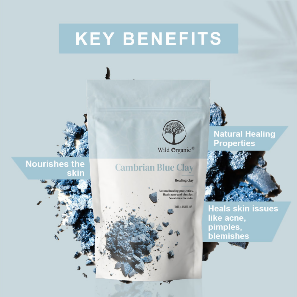 Wild Organic Cambrian Blue Healing Clay Powder | Grocsy