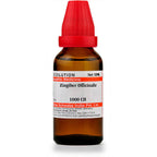 Dr. Willmar Schwabe India Zingiber Officinale Dilution | Grocsy