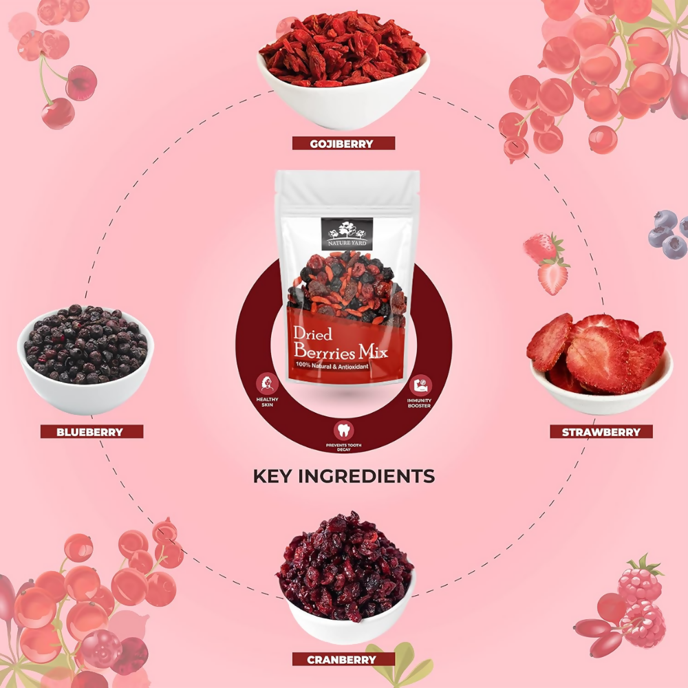 Nature Yard Berries mix without sugar - Mix of Dried Cranberry, Blueberry, Goji berry & Strawberry Dry fruits | Grocsy