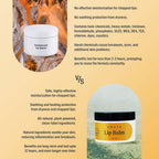 Arata Lip Balm Pack | Grocsy