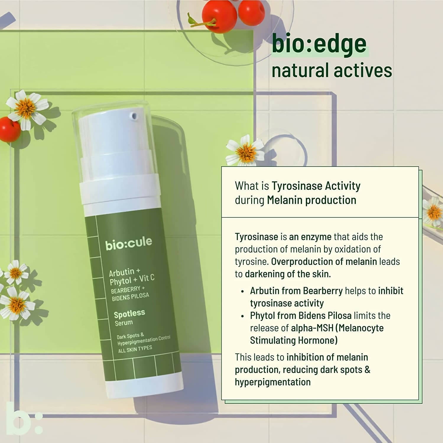 Biocule Spotless Arbutin Face Serum | Grocsy