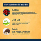 Beardhood Chilli Shampoo for Hair Growth | Grocsy