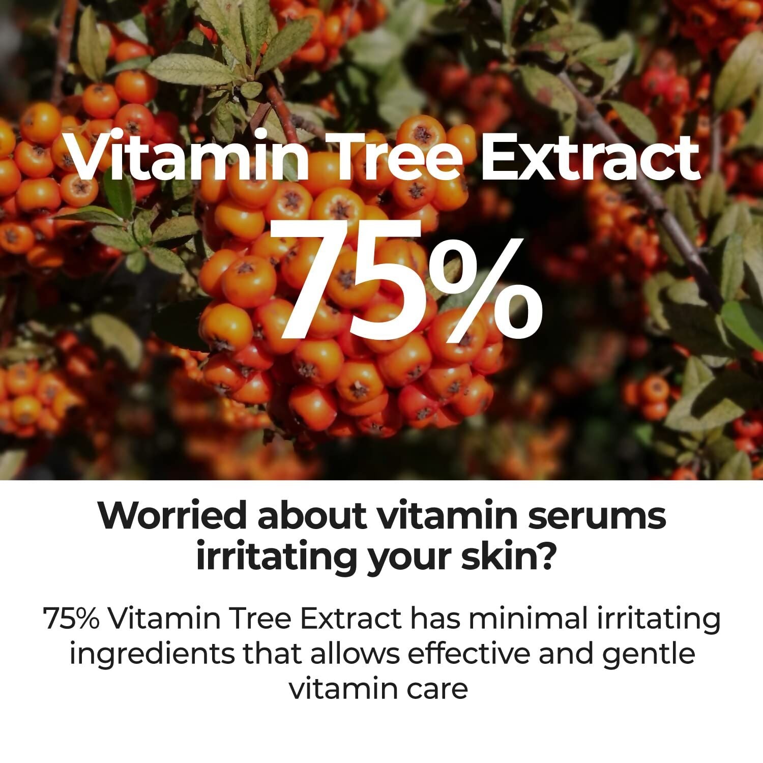 Numbuzin No.5 Face Serum | Grocsy