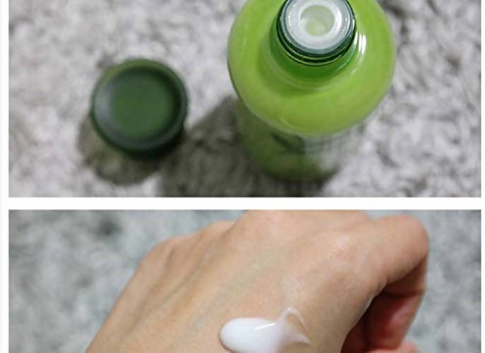 Innisfree Green Tea Balancing Lotion EX | Grocsy