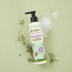 Pilgrim Spanish Rosemary & Biotin Anti Hairfall Conditioner For Reducing Hair Loss & Breakage | Grocsy