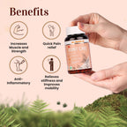 Sunova Joint Care Capsules | Grocsy