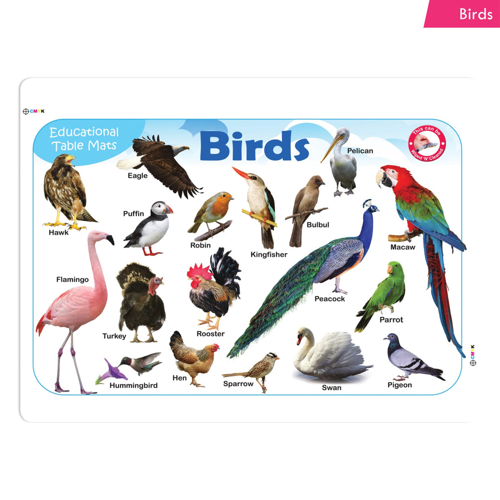 Jolly Kids Picture Learning Educational Table Mat for Kids Set of 8| Ages 2-6 Years| Laminated Picture learning Sheet | Grocsy
