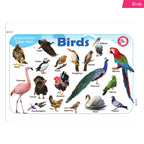 Jolly Kids Picture Learning Educational Table Mat for Kids Set of 8| Ages 2-6 Years| Laminated Picture learning Sheet | Grocsy