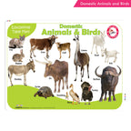 Jolly Kids Picture Learning Educational Table Mat for Kids Set of 8| Ages 2-6 Years| Laminated Picture learning Sheet | Grocsy