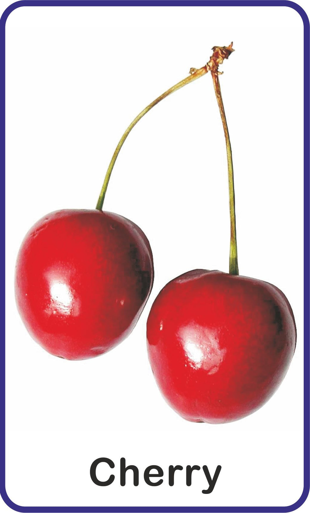 Jolly Kids Flash Card - Fruits | Grocsy