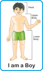 Jolly Kids Flash Card - My Body Parts | Grocsy