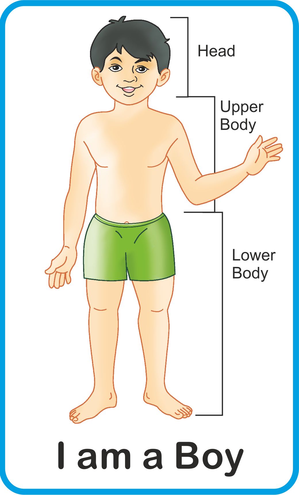 Jolly Kids Flash Card - My Body Parts | Grocsy