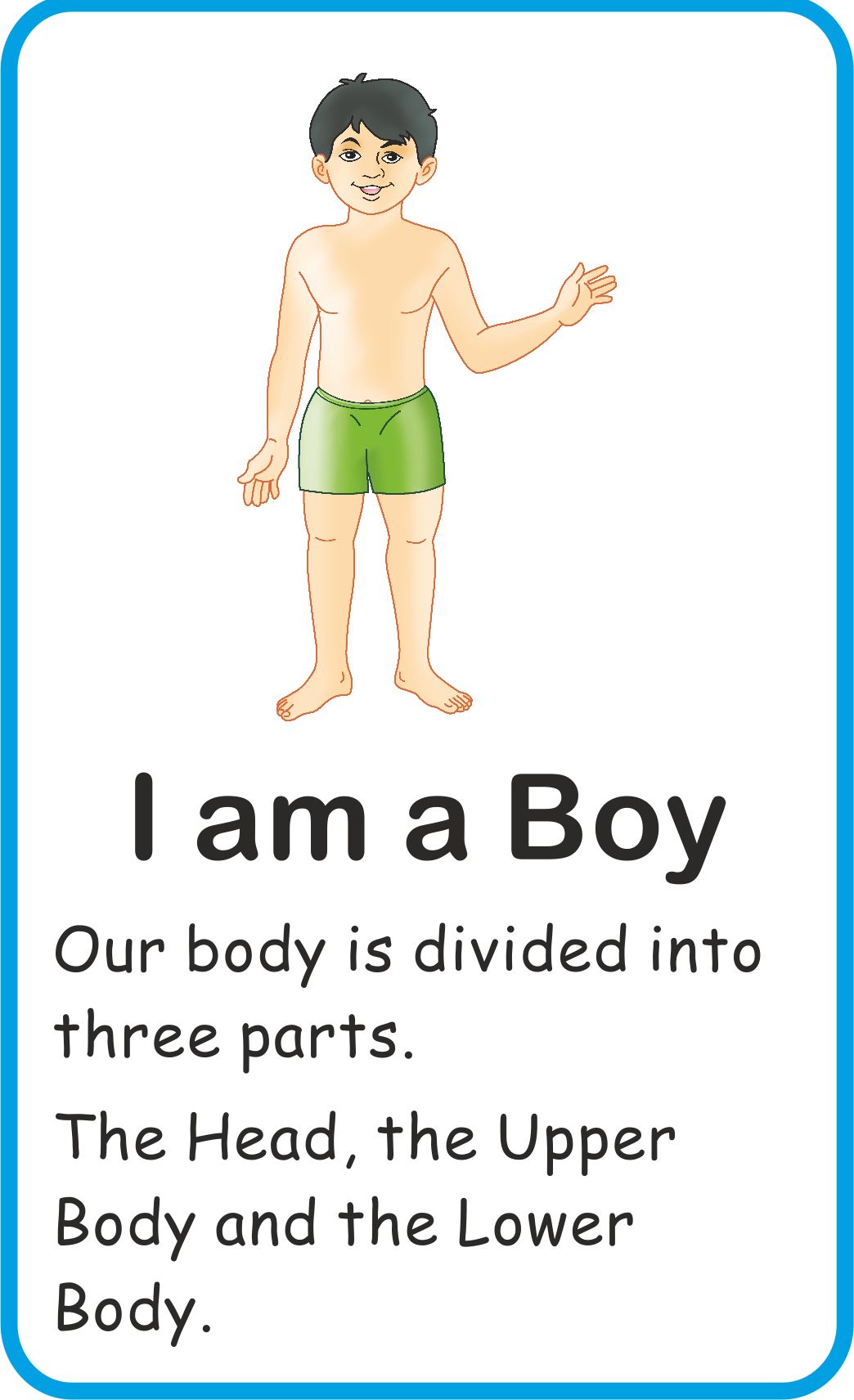Jolly Kids Flash Card - My Body Parts | Grocsy