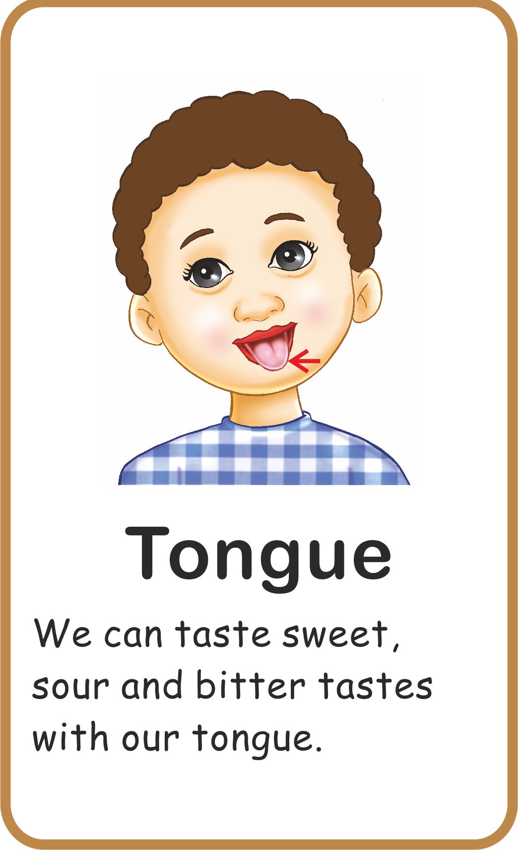 Jolly Kids Flash Card - My Body Parts | Grocsy