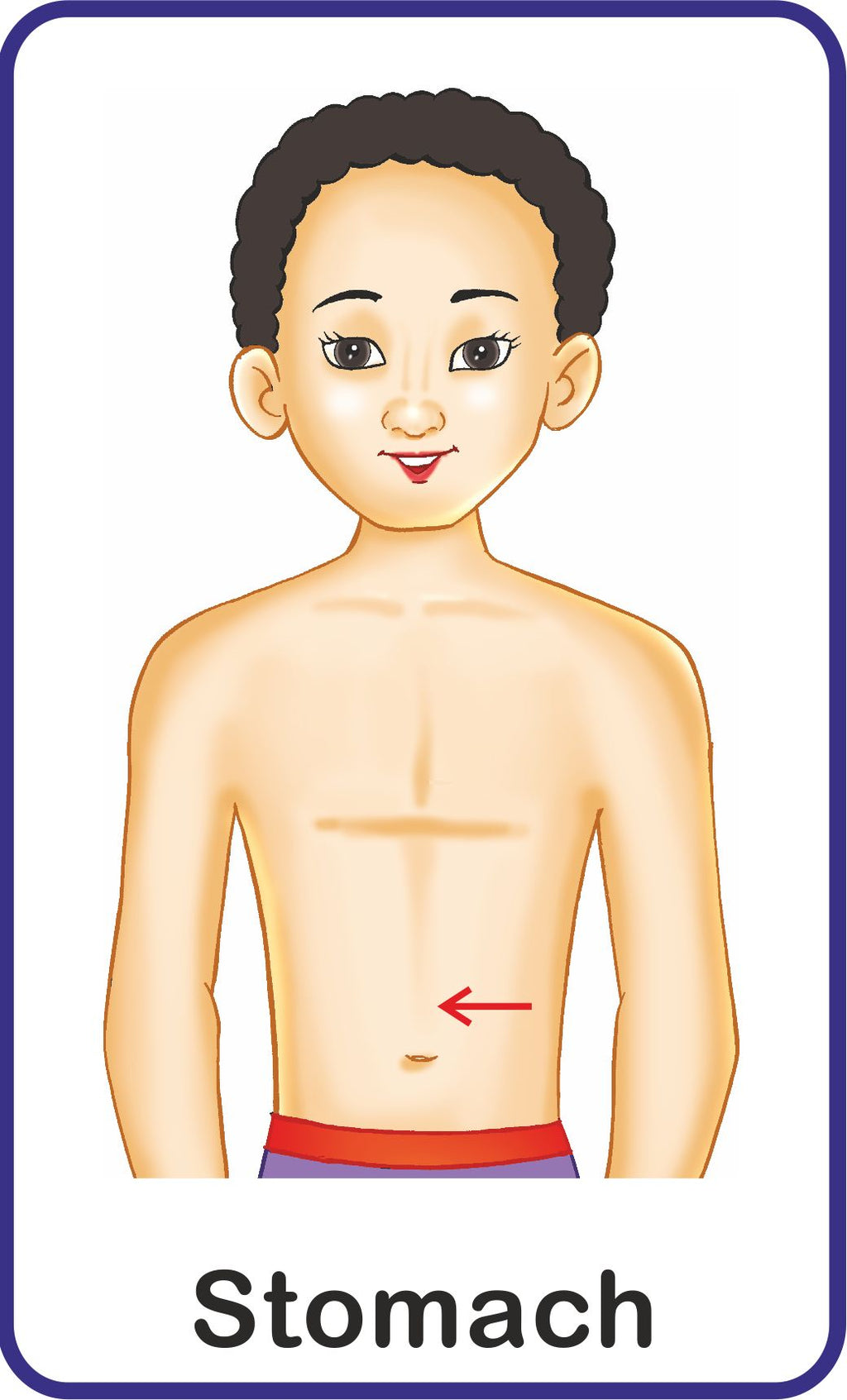 Jolly Kids Flash Card - My Body Parts | Grocsy
