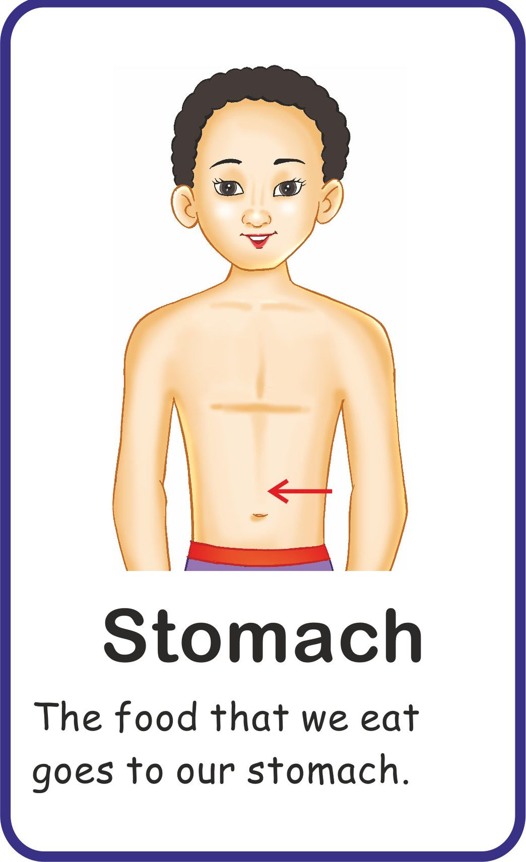 Jolly Kids Flash Card - My Body Parts | Grocsy