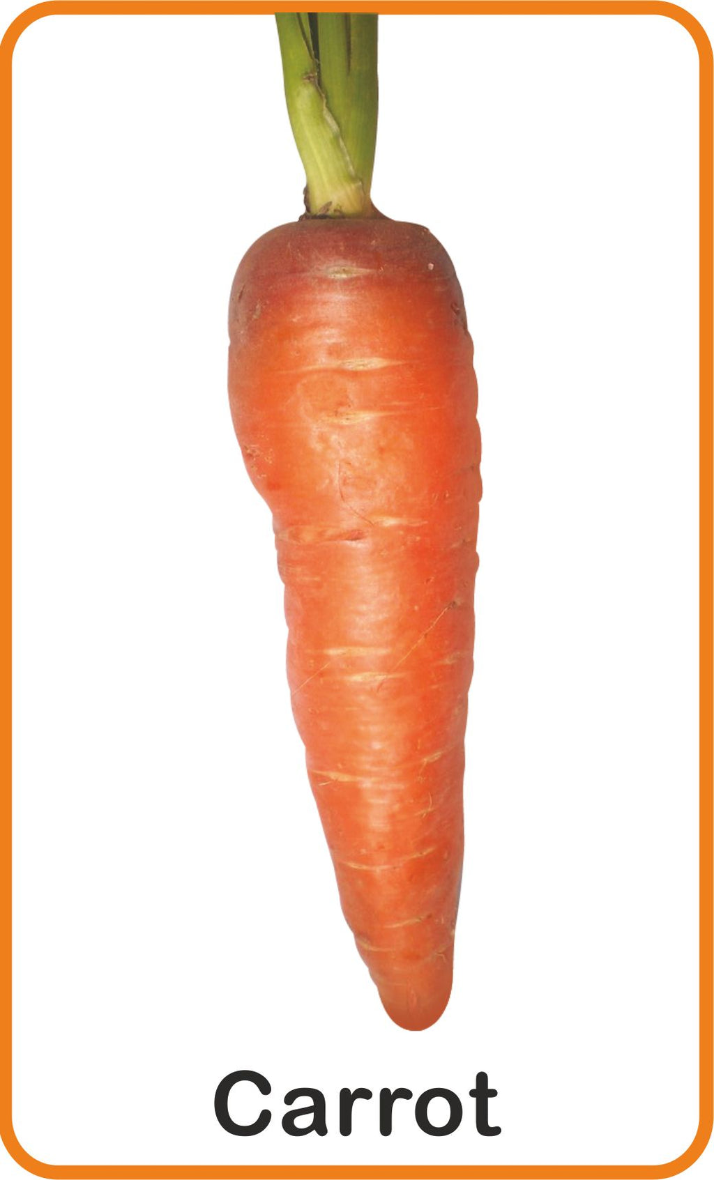 Jolly Kids Flash Card - Vegetables | Grocsy