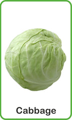 Jolly Kids Flash Card - Vegetables | Grocsy