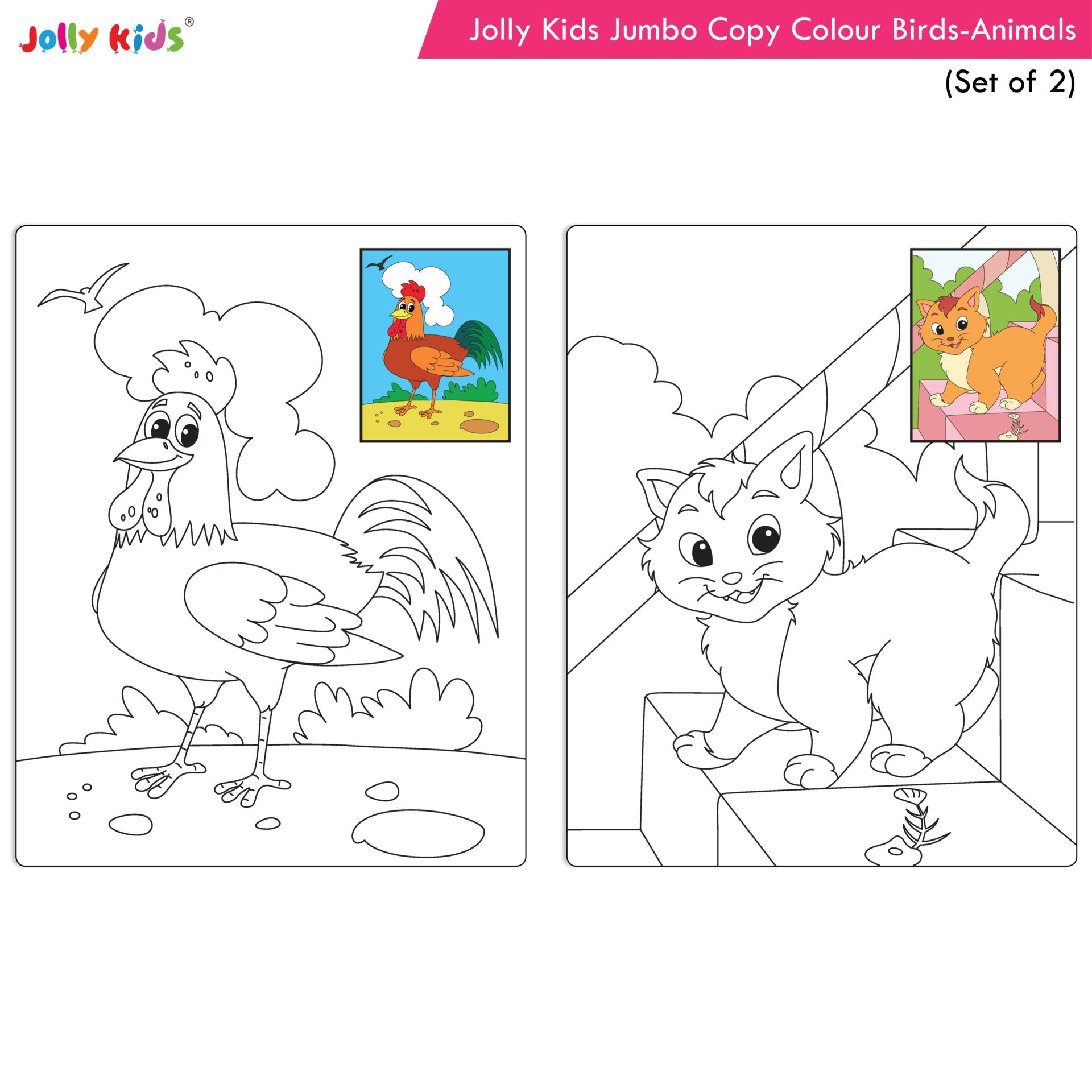 Jolly Kids Jumbo Copy Colour Books Set of 2| Colour Themes Birds, Dinosaurs, Animals, Ocean, Unicorns, Princess, Pirates, Mermaid| Ages 3-10 Years | Grocsy