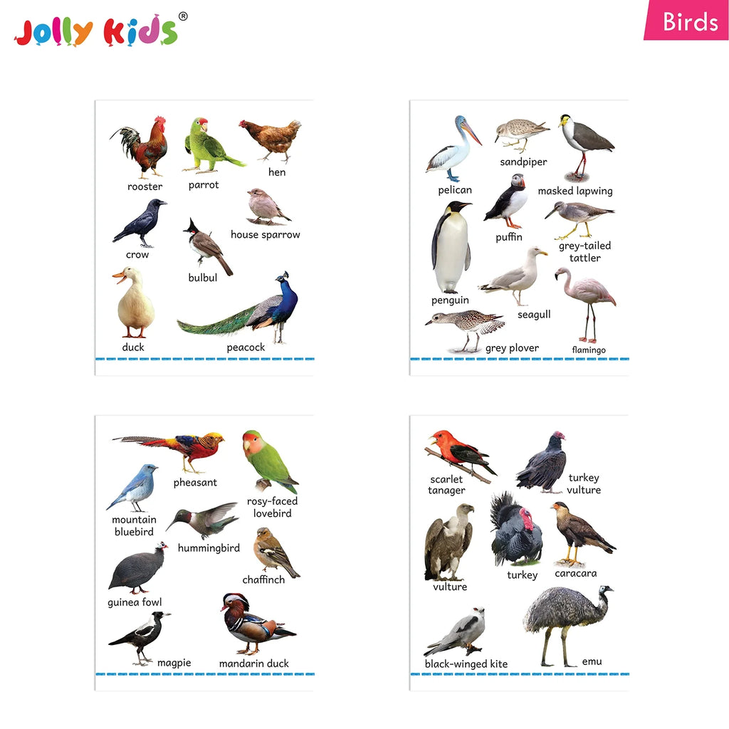 Jolly Kids My Big Board Books Set of 8 for Toddlers Ages 0-3 Years| Picture Learning Books | Grocsy