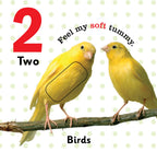 Jolly Kids Touch and Feel Board Book: 123| Picture Book for Kids Ages 1-4 Years|Number Book| Touch & Feel Activity Book | Grocsy