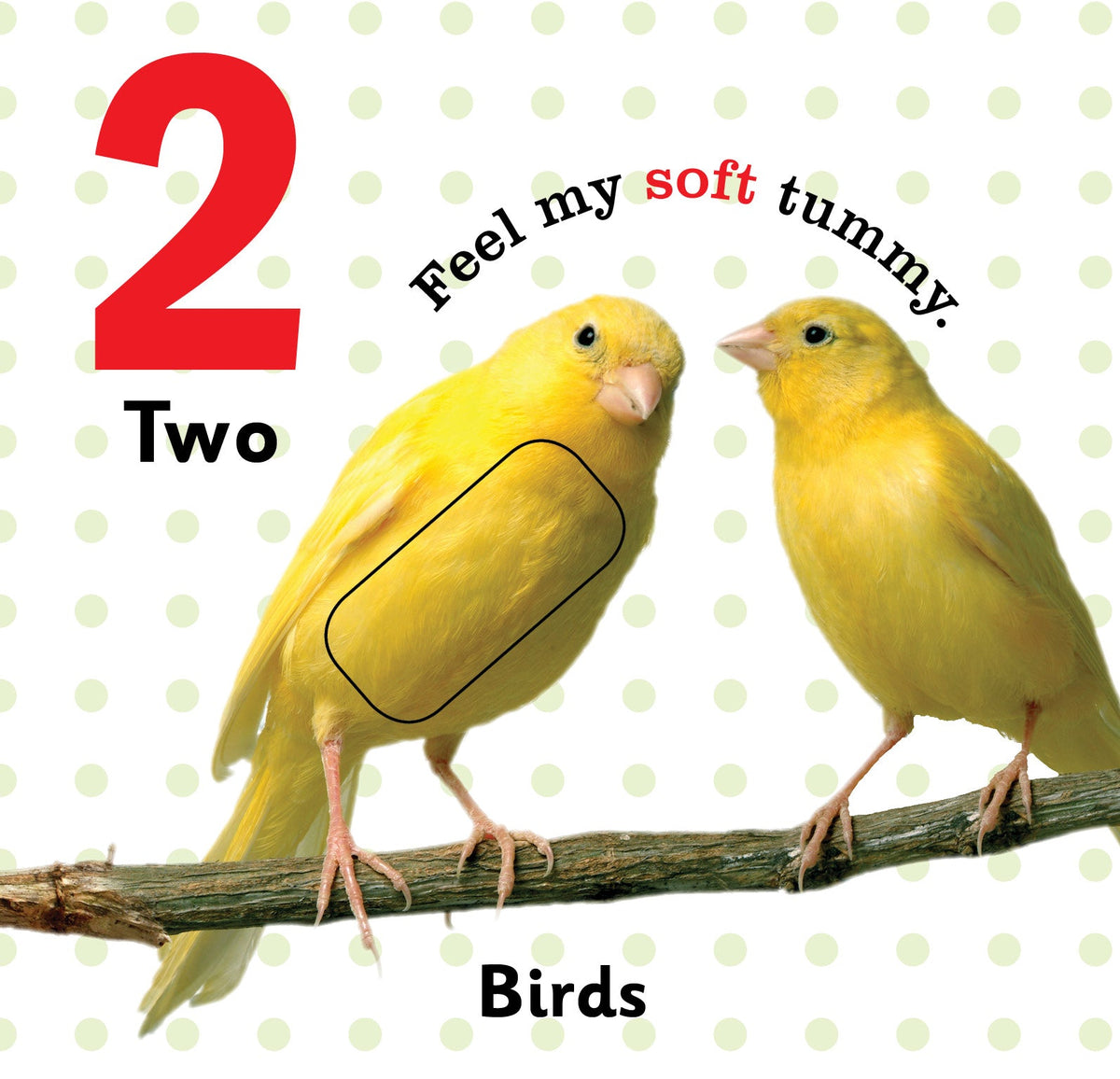 Jolly Kids Touch and Feel Board Book: 123| Picture Book for Kids Ages 1-4 Years|Number Book| Touch & Feel Activity Book | Grocsy