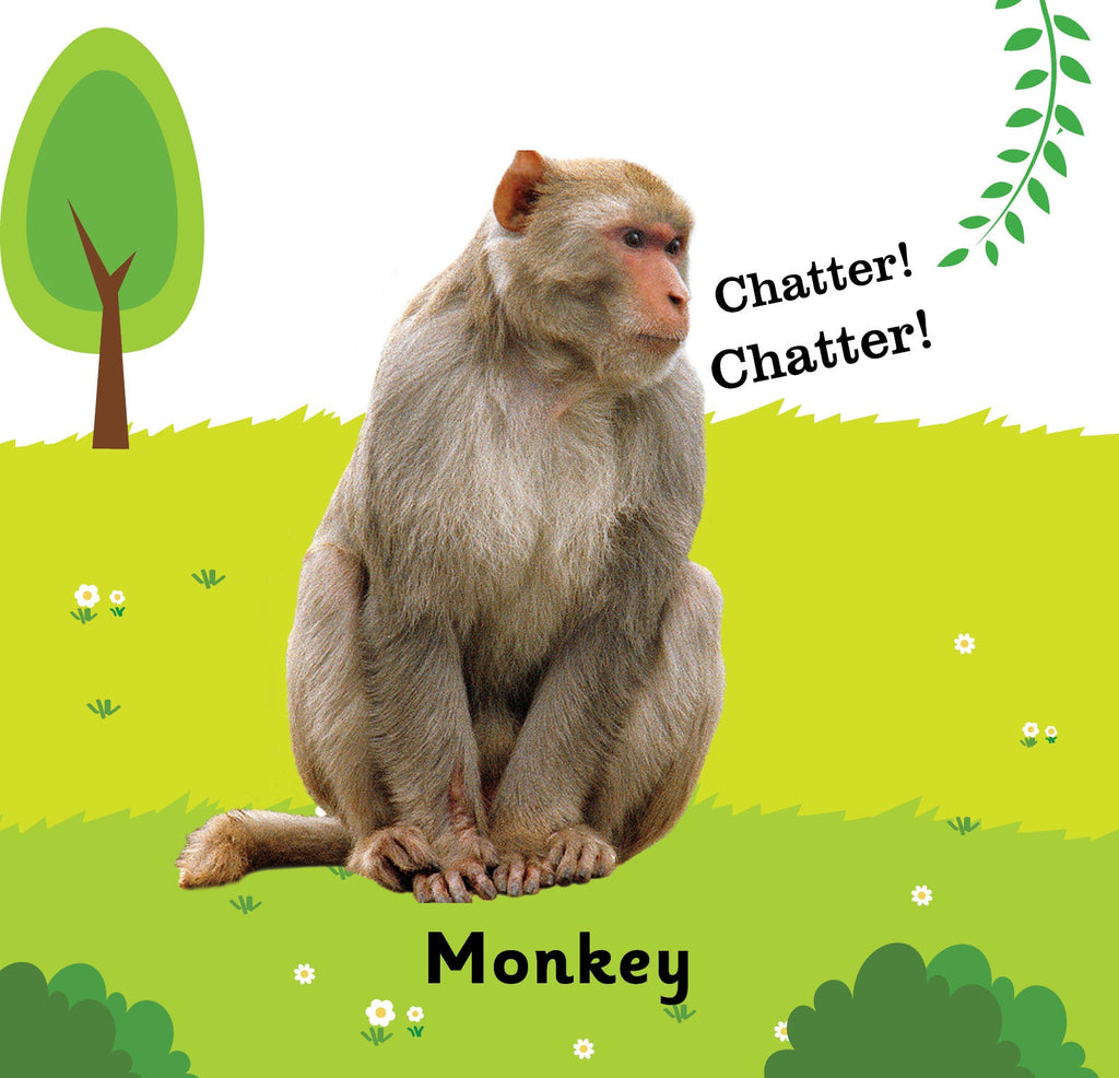 Jolly Kids Touch and Feel Board Book: Animals| Picture Book for Kids Ages 1-4 Years| Touch & Feel Activity Book | Grocsy