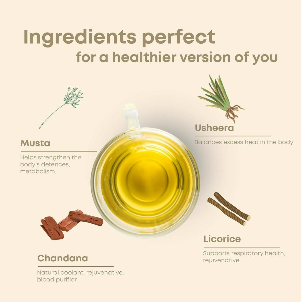 Shivamastu Ayurveda Wellnessbrew Herbal Tea | Grocsy