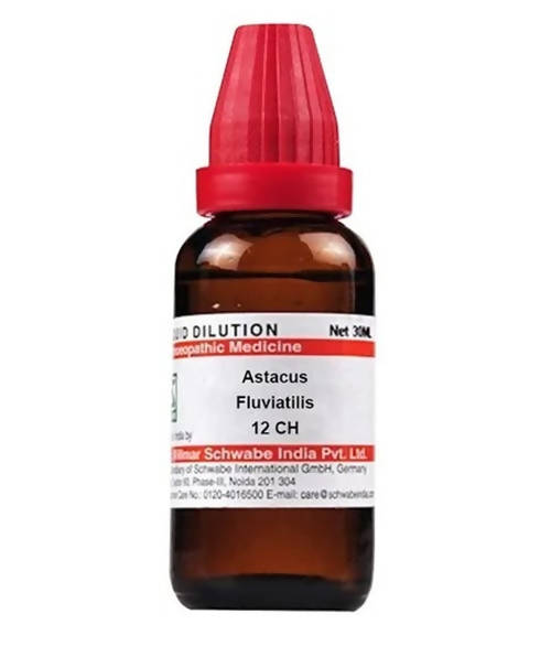 Dr. Willmar Schwabe India Astacus Fluviatilis Dilution | Grocsy