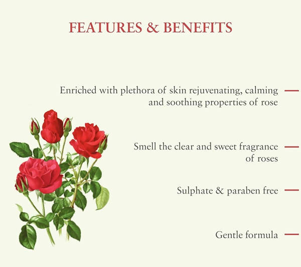 Just Herbs Shatpatri Wild Indian Rose Gentle Body Wash | Grocsy