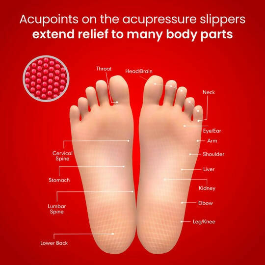 Dr. Ortho Acupressure Slippers | Grocsy