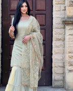 Teeya Creation Pista Colour Chinon Silk Heavy Embroidery Work Fully Stitched Salwar Suit | Grocsy