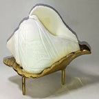 Brass Jal Shankha With Stand | Grocsy