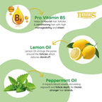 Habibs Professional Oil Control Shampoo For Oily Hair And Scalp Anti Dandruff With Natural Lemon & Mint Oil | Grocsy
