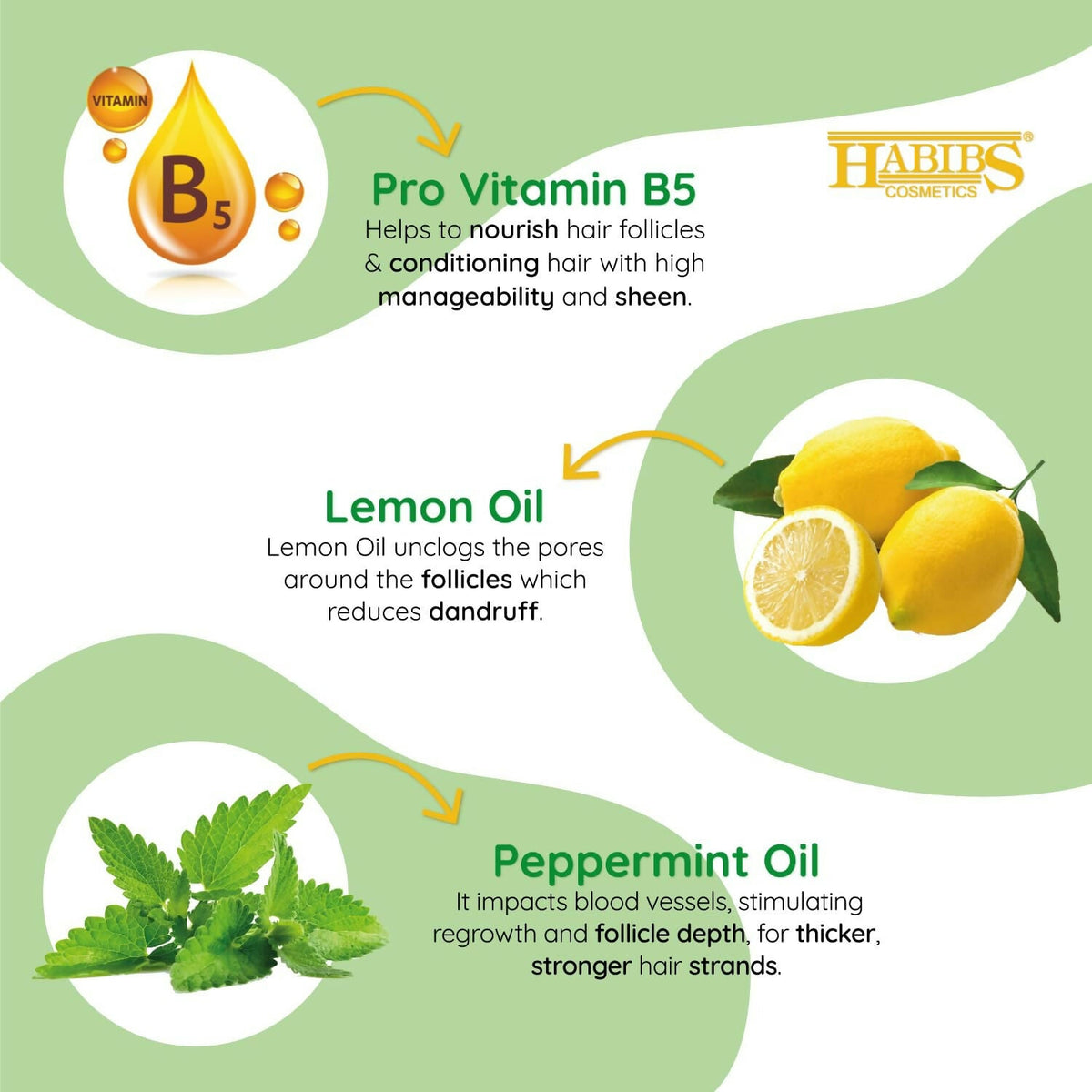 Habibs Professional Oil Control Shampoo For Oily Hair And Scalp Anti Dandruff With Natural Lemon & Mint Oil | Grocsy