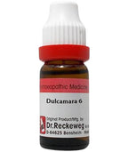 Dr. Reckeweg Dulcamara Dilution | Grocsy