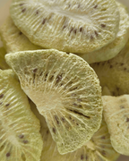 Moon Freeze Dried Kiwi | Grocsy